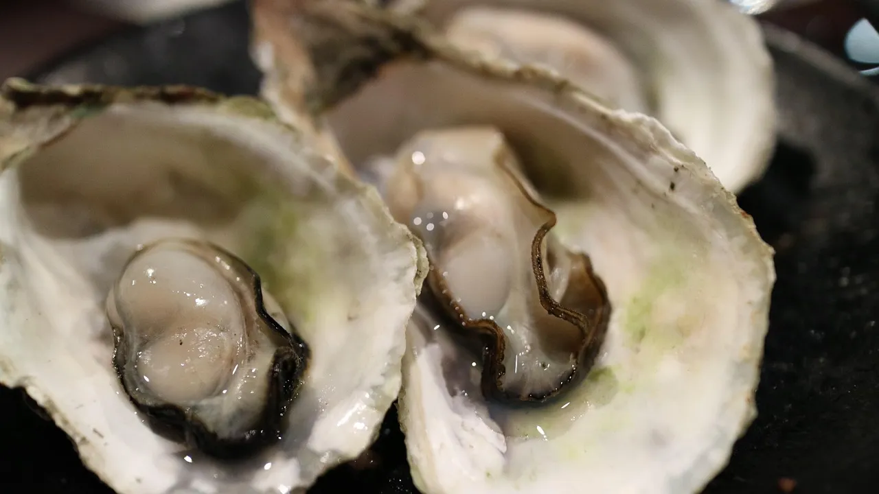 The Ultimate Guide to Cooking with Dried Scallops