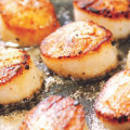 Cholesterol Content in Dried Scallops: What You Need to Know