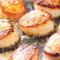 Cooking and Storing Dried Scallops at Home: Expert Tips